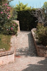 A paved road in the garden with plants and flowers (Pesaro, Italy, Europe)