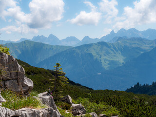 One single tree groths out of the rock with mountains in bakground.