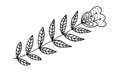 Hand drawn doodle flower illustration. Simple floral element isolated on white background