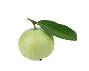 Guava Fruit  on white background