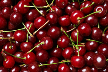 Ripe juicy cherries as background, closeup view