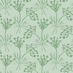 Dill flowers shadows pale green