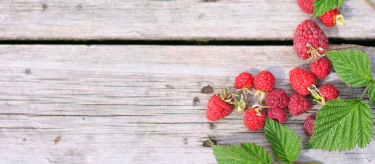 Raspberries on a wooden background. Banner size with copy space. Top view of ripe berries