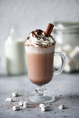 Hot cocoa with whipped cream for a child's Breakfast