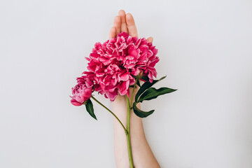 Fashion art hands of a woman in summer and flowers on her hands. Creative beautiful photo of a girl's hand on a light background. Skin care. Beautiful pink peony