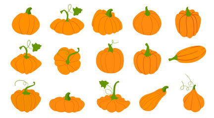 Orange pumpkins in flat style isolated on white background. Orange vegetable. Autumn harvest. Pictogram collection farm harvest, closeup squash, vegetable. Thanksgiving and Halloween Elements.