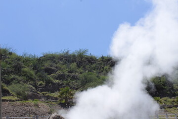 geyser in park national park
