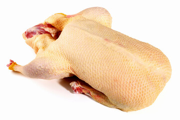 Raw Duck on white Background - Isolated