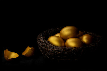Golden egg and eggshell in nest isolated at black background