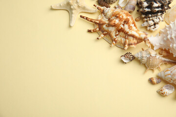 Fototapeta premium Different beautiful sea shells on yellow background, flat lay. Space for text