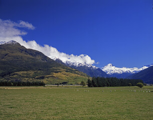 New Zealand South Island Haast River Valley Ranch