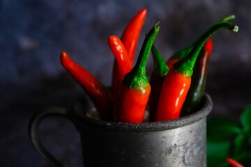 Homegrown red chillies still life on dark moody background, selective focus