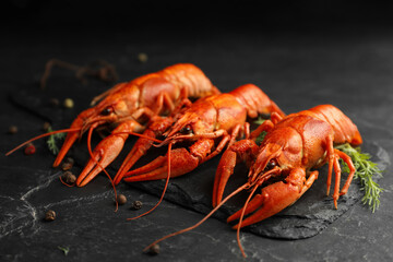Delicious boiled crayfishes with dill and pepper on black table, closeup