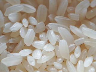 Macro photo of rice grains, grains of white rice extreme close up photo.