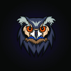 Owl vector design 