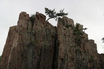 Low angle view of two trees on top of the palisade rocks in South Dakota
