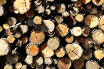 Woodpile