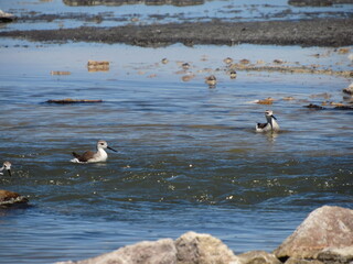 Fotos tomas en un viaje a San Pedro de Atacma, Chile en el a&ntilde;o 2017