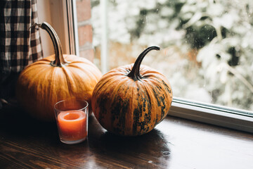 Thanksgiving day. Autumn. Halloween pumpkin on a wooden background, Holiday decoration. Halloween...