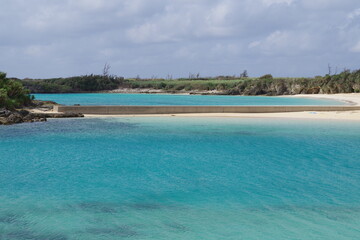 Wild birds in Higashi-Hennasaki, Miyako Island, Okinawa Prefecture, Japan