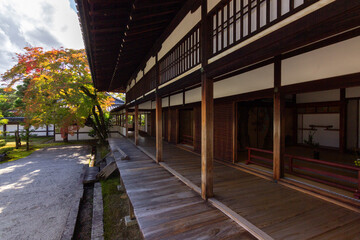 Obraz premium Ninna-ji temple in Kyoto (Japan)