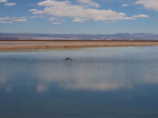 Fotos tomas en un viaje a San Pedro de Atacma, Chile en el año 2017