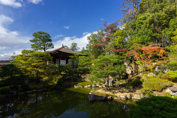 Fototapeta na wymiar Ninna-ji temple in Kyoto (Japan)