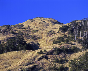 Taiwan Nantou Hehuan Mountain Dongfeng Taiwan