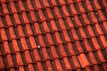 Dirty roof tiles of a European house reading the traditions of architecture