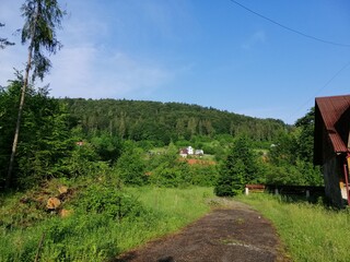 landscape in the mountains