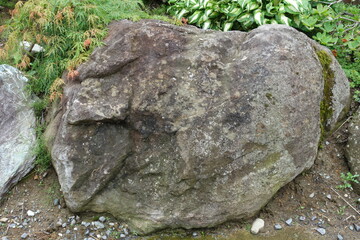 北海道の夏の庭の岩
