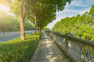 Fototapeta na wymiar Stone path aling the city park. Shenzhen. China.