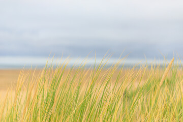 Sandd&uuml;ne in Holland an der Nordsee