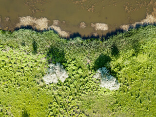 Aerial drone top view. Green shores of a country lake.