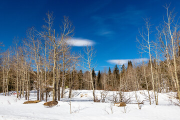 One month of winter remaining on a drive around. Kananaskis Country, Alberta, Canada
