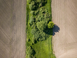 Ukrainian agricultural fields. Aerial drone view.