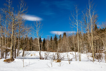 One month of winter remaining on a drive around. Kananaskis Country, Alberta, Canada