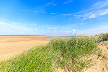 Sandd&uuml;ne in Holland an der Nordsee