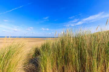 Sanddüne in Holland an der Nordsee