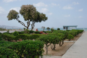 landscape design in the Park