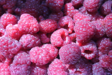 Juicy raspberries background in macro