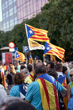 Diada de Catalu&ntilde;a 2019