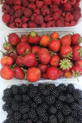 raspberries, strawberries and blackberries on plastic bowls on white background