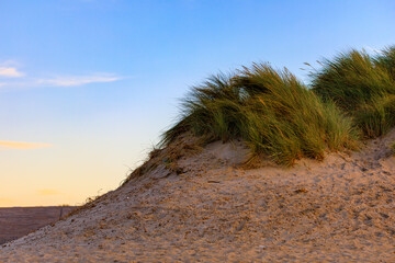 Sanddüne in Holland an der Nordsee