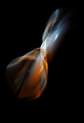 Long exposure photograph of multicolored light trails forming a complex twisted geometric pattern...