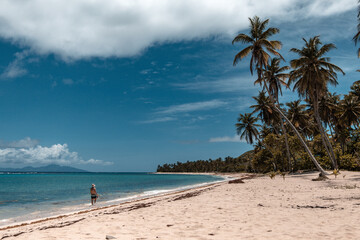 A man walks in the crystal waters of an empty heavenly beach with palm trees, white sand and turquoise blue water in marie galante, Guadeloupe