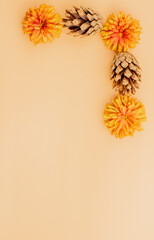 yellow, autumn flowers on a beige background, top view.