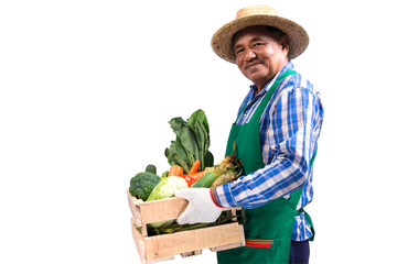 Portrait of elderly Asian farmer holding a wooden crate full of fresh vegetables isolated on white...