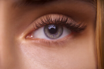 Obraz premium Eyelash Extension Procedure. Woman Eye with Long Eyelashes. Close up, selective focus.