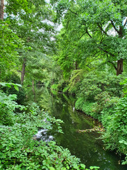 PARK MIEJSKI W CENTRUM MIASTA. BERLIN, NIEMCY